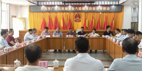 东莞市广西北流商会组团赴六靖镇投资考察 共谋产业合作新机遇