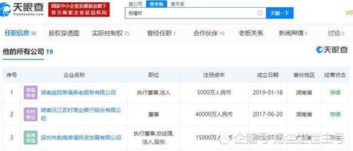 亿万富翁倪福林私生活风波再遇事业转型 背后的投资新风向